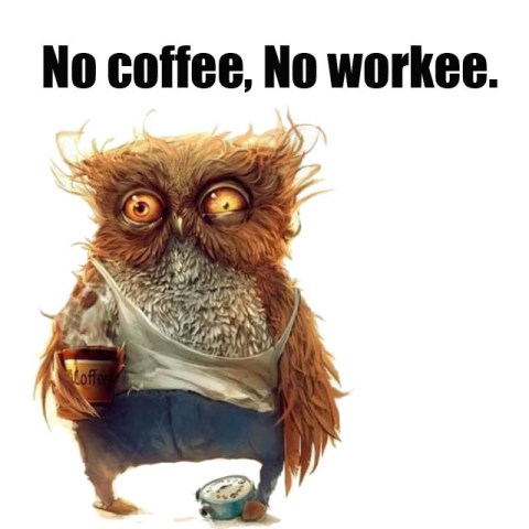 No Coffee Owl